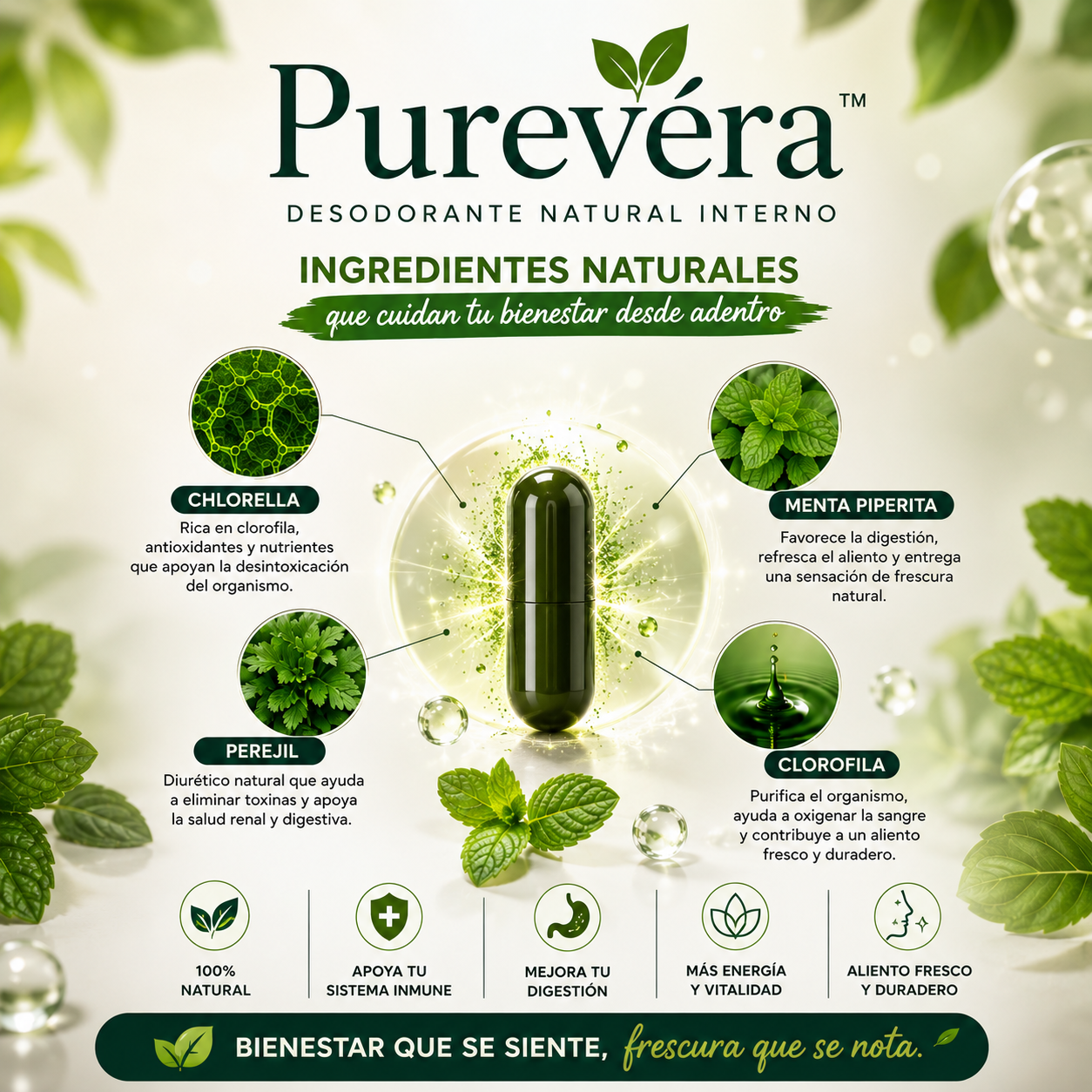 Purevéra™ | Desodorante Natural Interno 60 Cápsulas