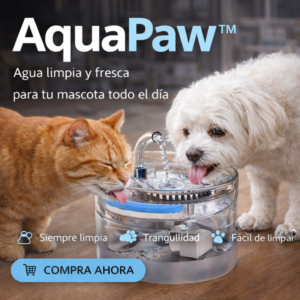AquaPaw™ | Dispensador de Agua